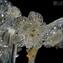Venetian Chandelier Elegante - Gold 24kt + Pendants - Murano Glass