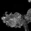 Venetian Chandelier Margherita - Floral - Crystal - Murano Glass