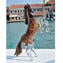 horse - with aventurine - Original Murano Glass OMG