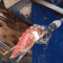 Swordfish sculpture - Original Murano Glass OMG