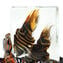 Cuttlefish Scultpure Sommerso - original Murano Glass omg 