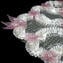Egidio Princess - Wall Venetian Mirror - Murano Glass